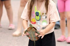 Web-Girl-and-turtle