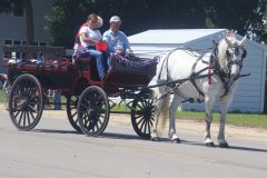 Horse-and-carriage
