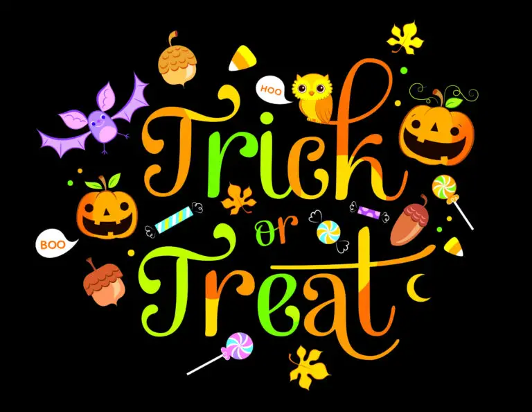 Trick or Treat Bags Black1 768x594